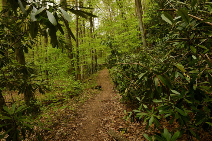 West Virginia State Parks