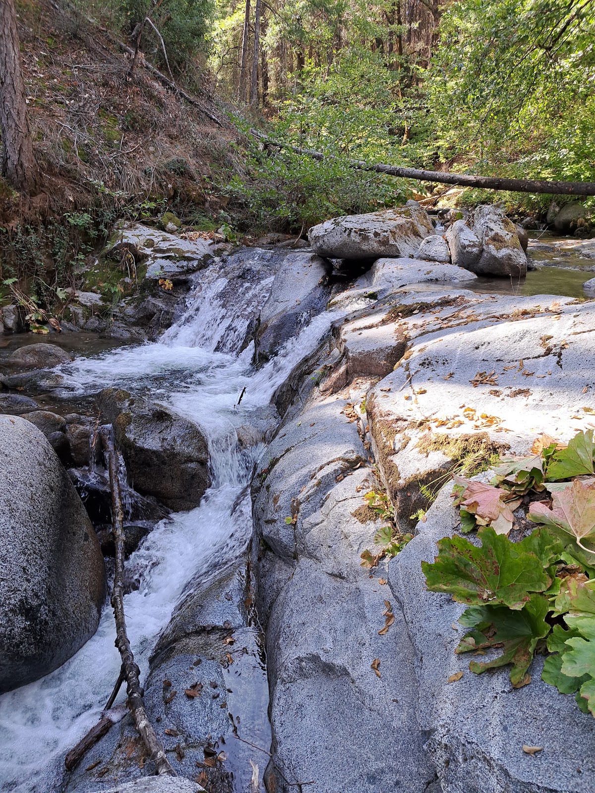 Crystal Creek Primitive Campground