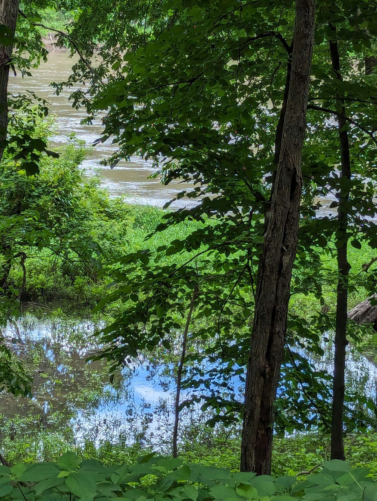 Dolliver Memorial State Park