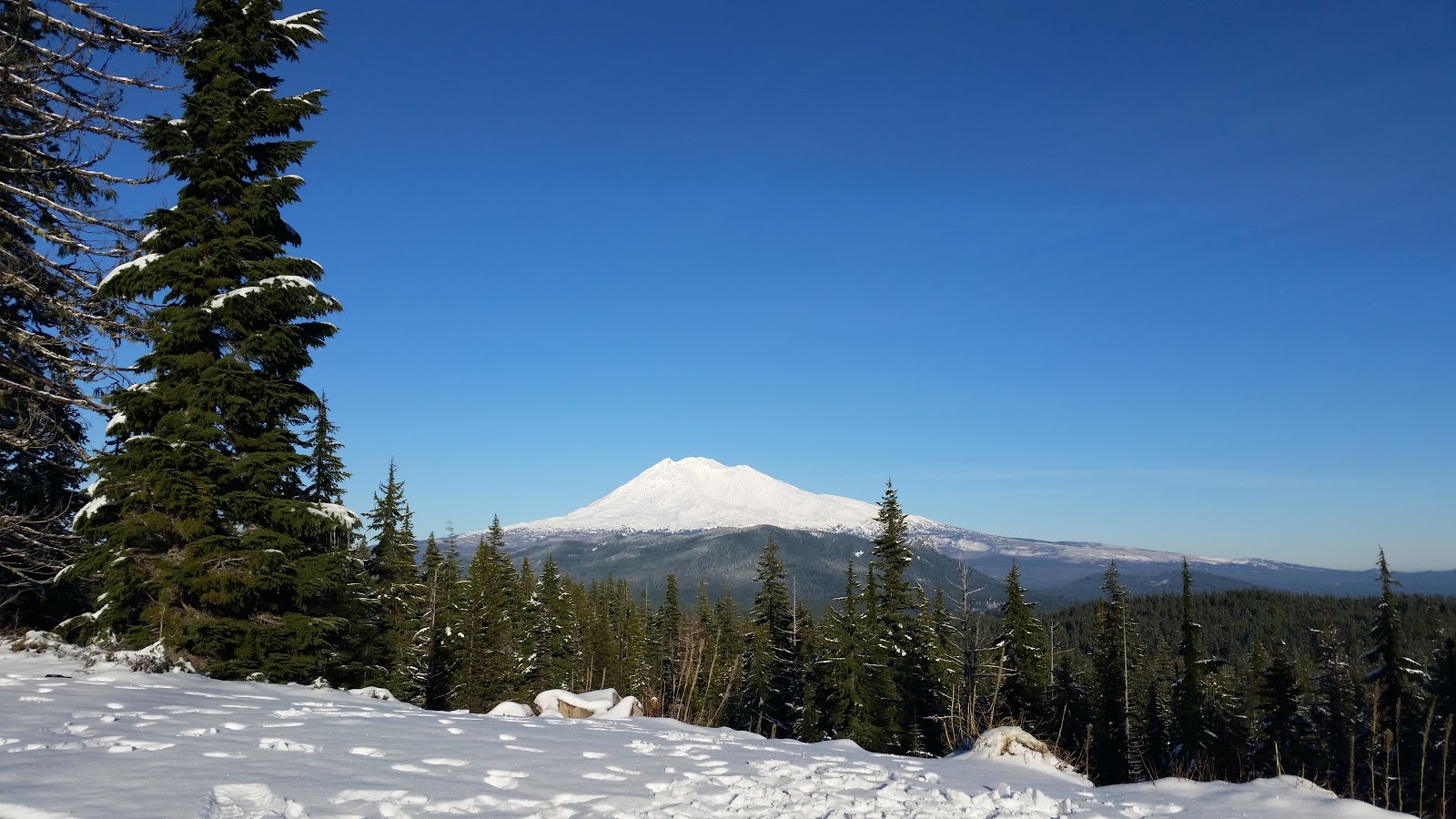 Cultus Creek Campground