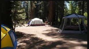 Agnew Meadows Horse Campground