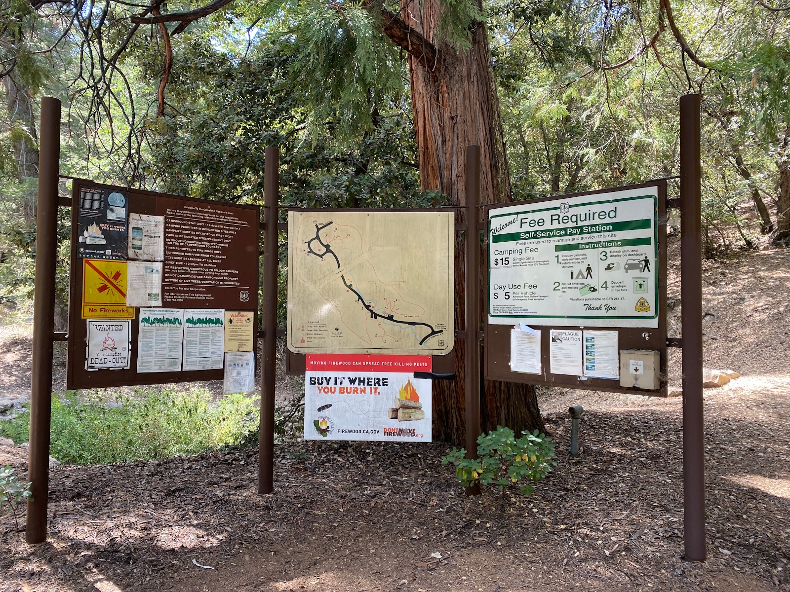 Fry Creek Campground