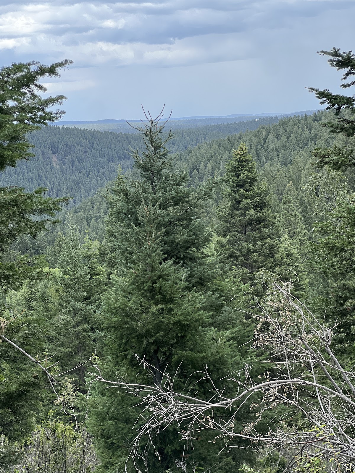 Lower Karr Canyon Campground