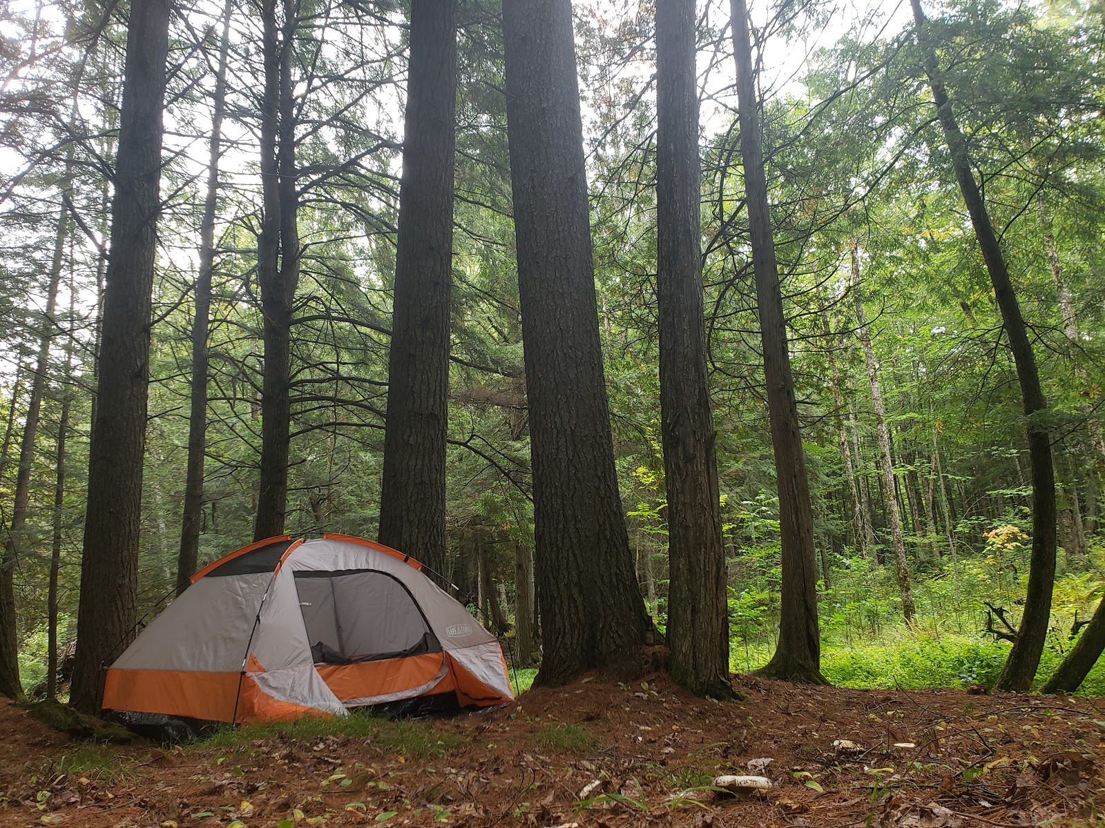 Haymeadow Creek NF Campground