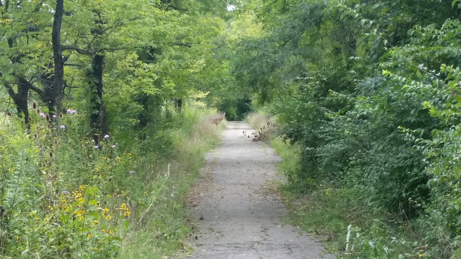 Skiles Test Nature Park