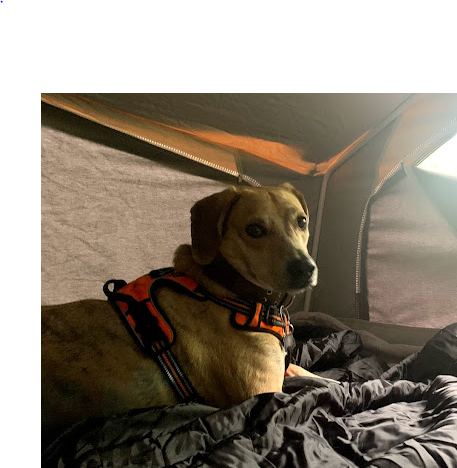 US Stony Fork Campground