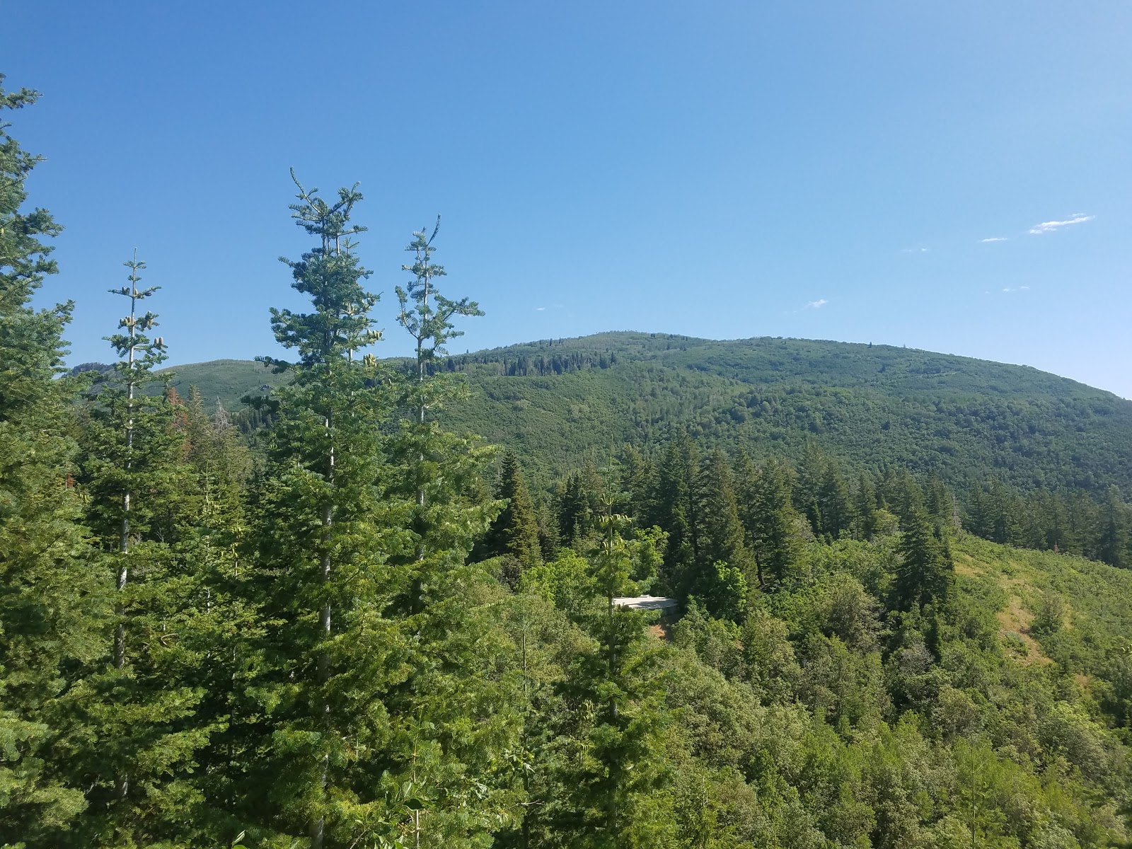 Theater In The Pines Group Site