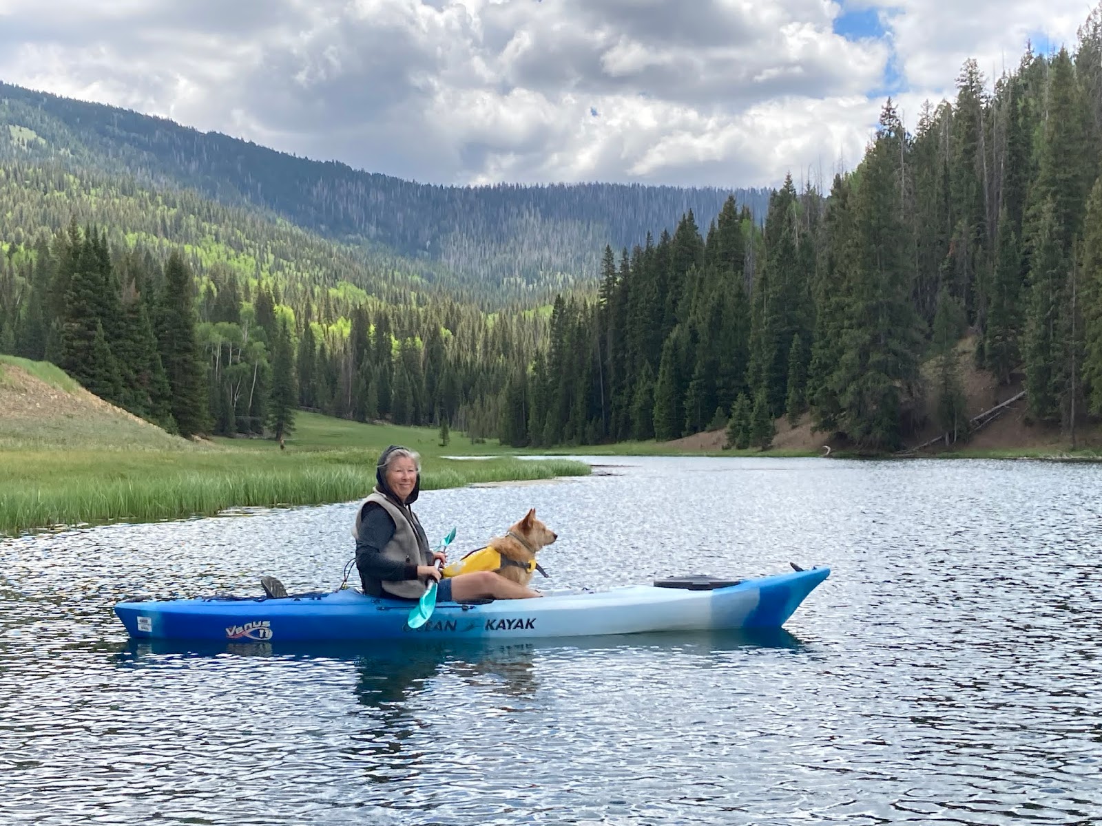 Anderson Meadow Campground