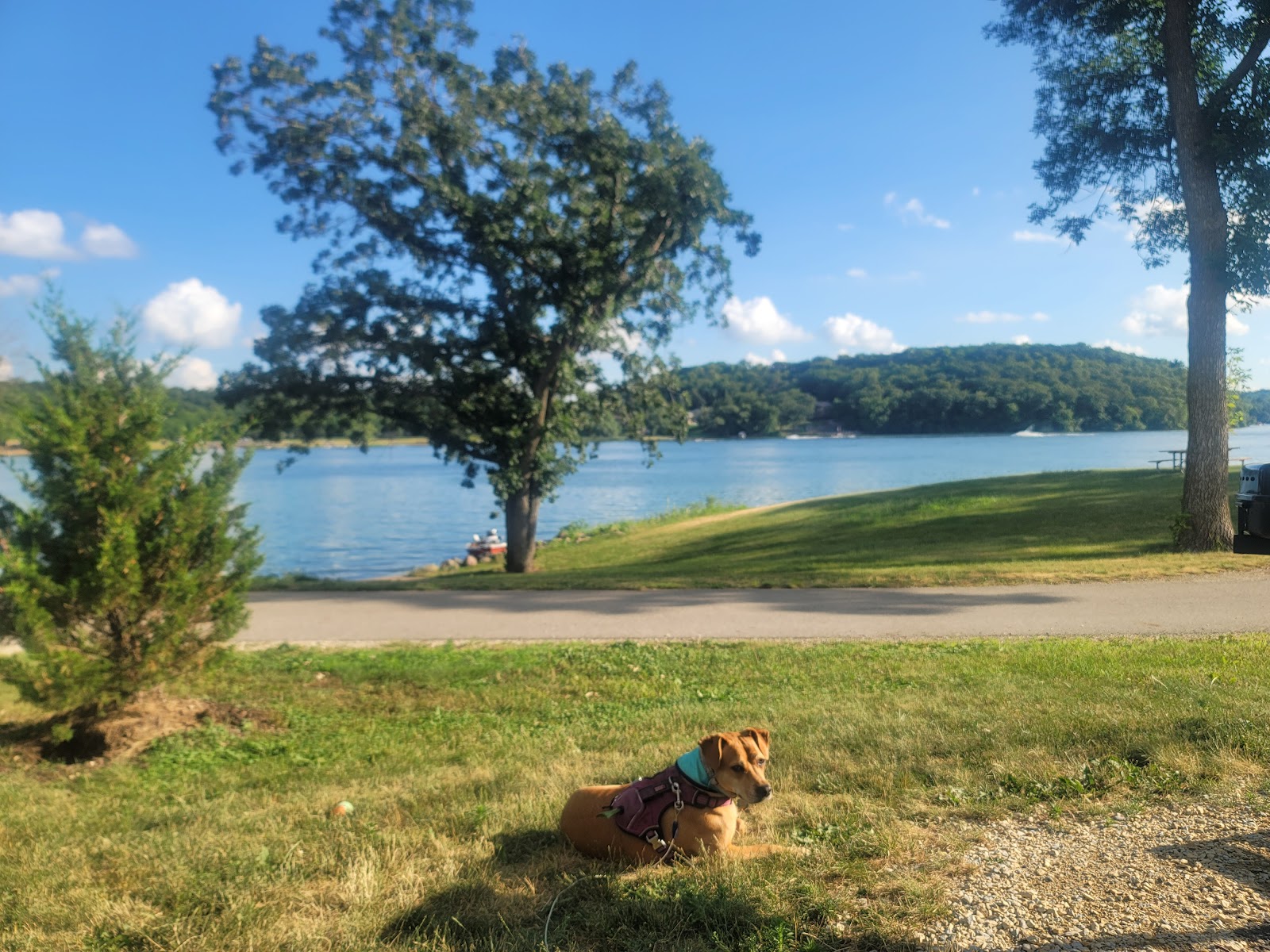 Lake Byllesby Regional Park Camping