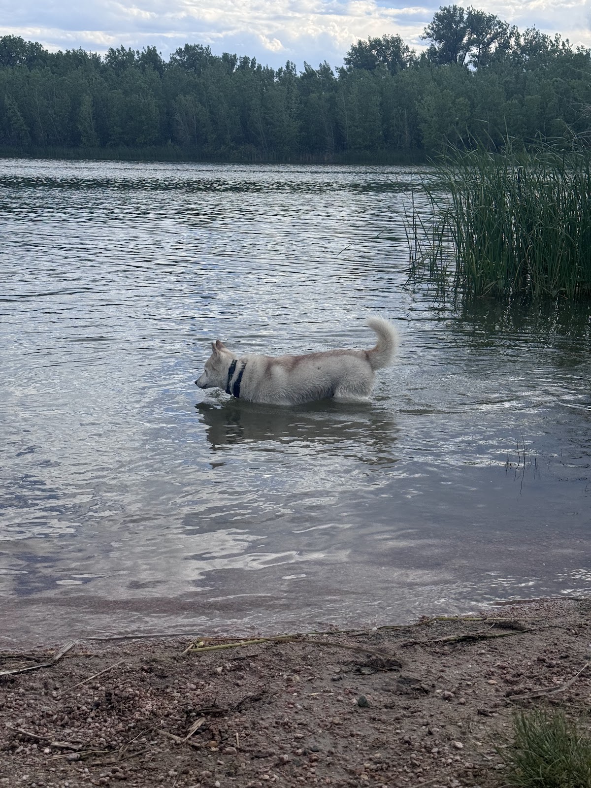 Oliver Reservoir State Recreation Area