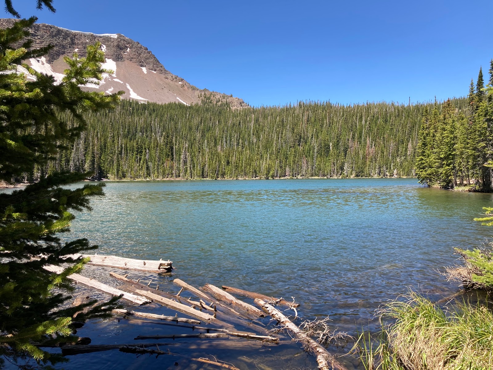 Bear Lake Campground (CO)