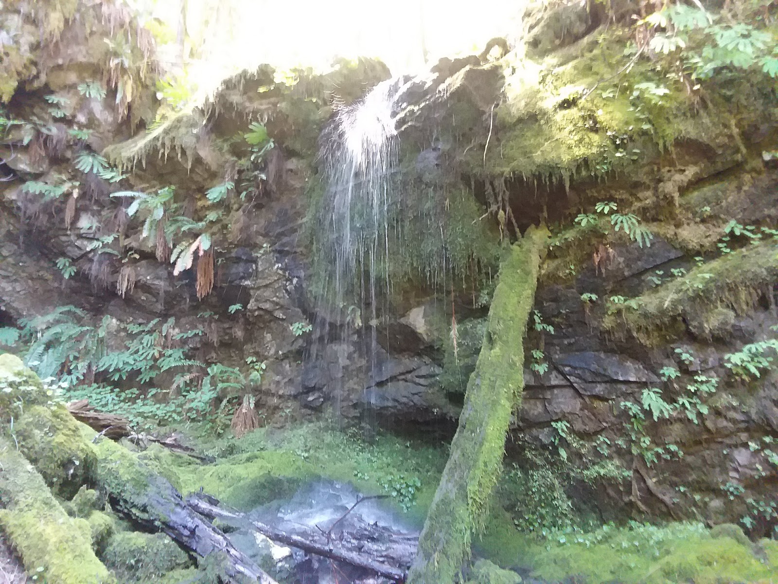 Hobo Camp Campground