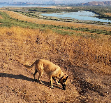 Crane Lakeside Park & Resort