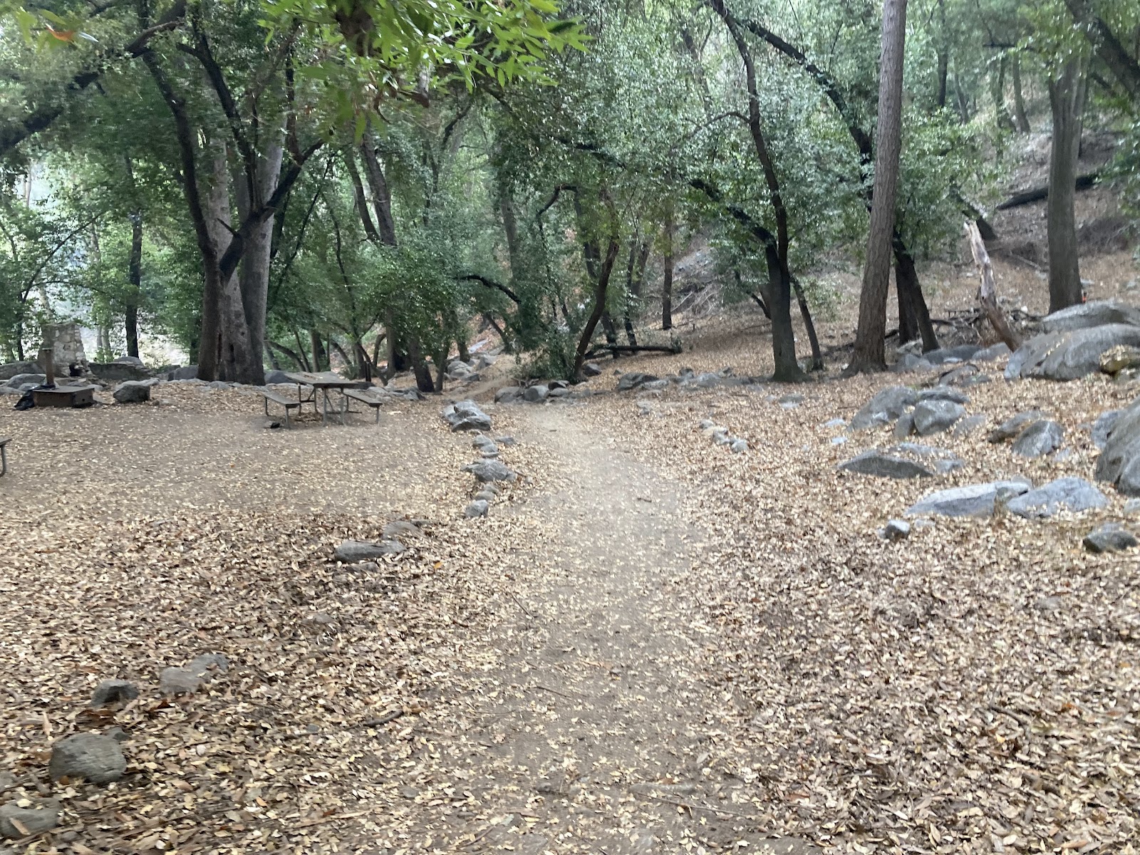 Hoegees Trail Camp Campground