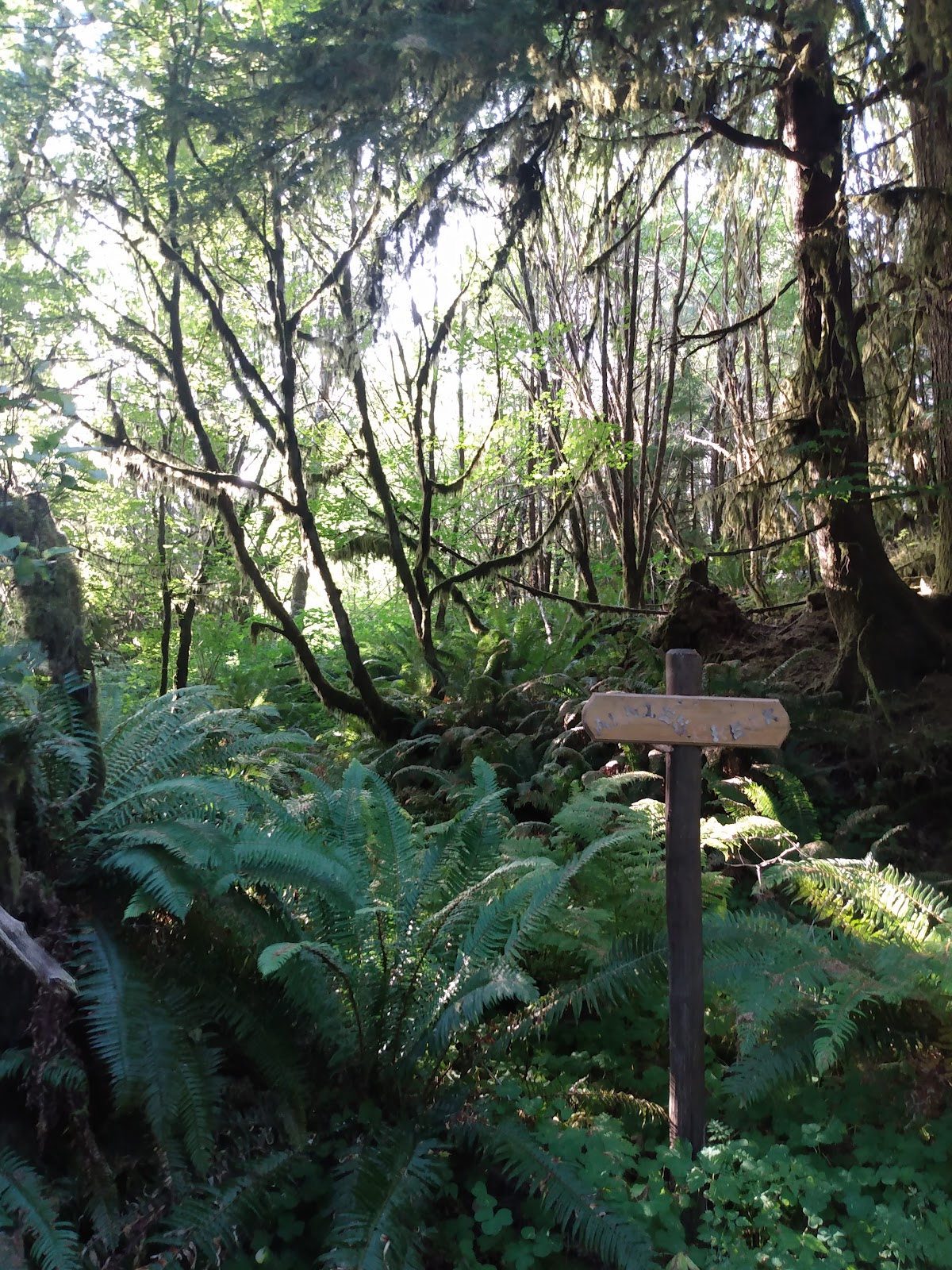 Artic RV Park & Campground