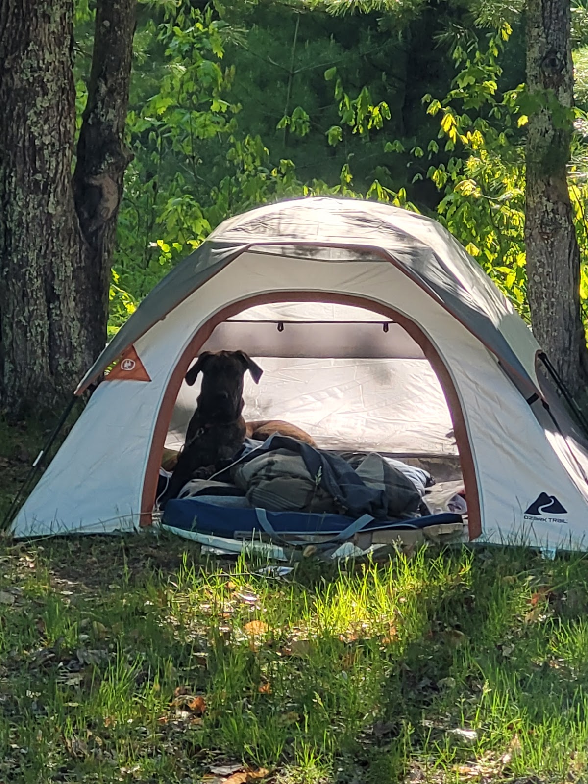 Lake Dubonnet SF Campground