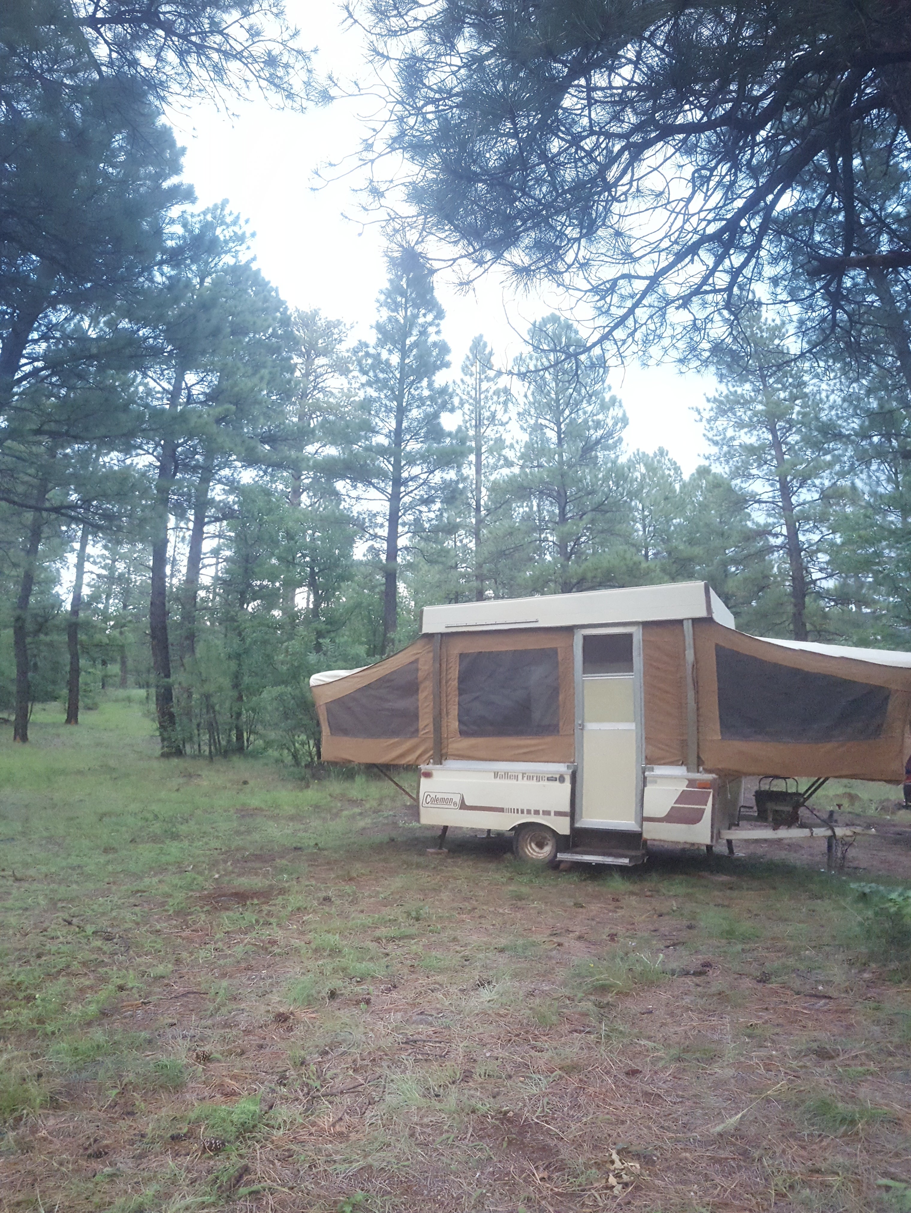 Brown Creek Campground