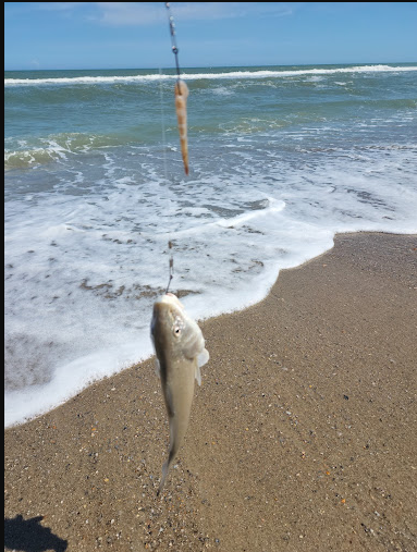 Fort Fisher State Recreation Area