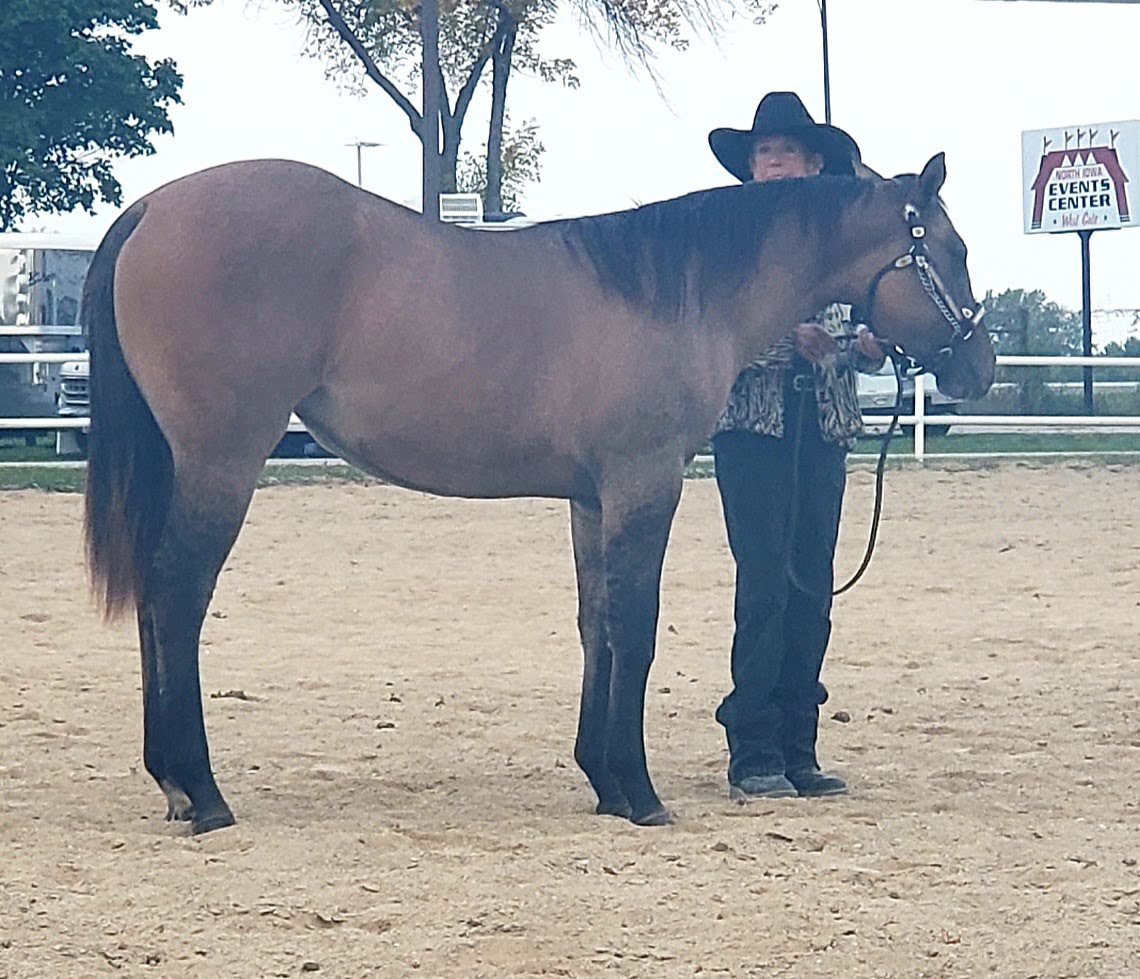 North Iowa Events Center