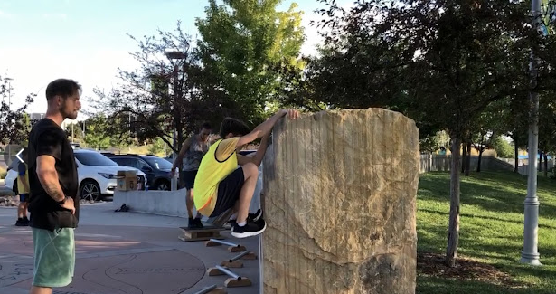 Edge Movement Parkour & Adaptability Training