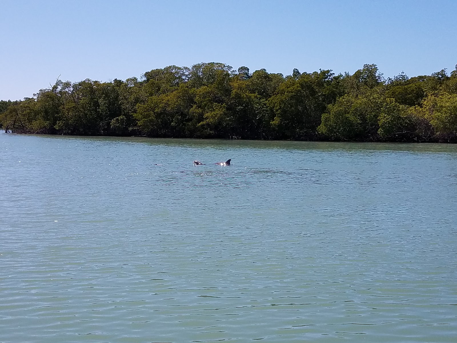 Bonita Beach Trailer Park Co-Op Inc.