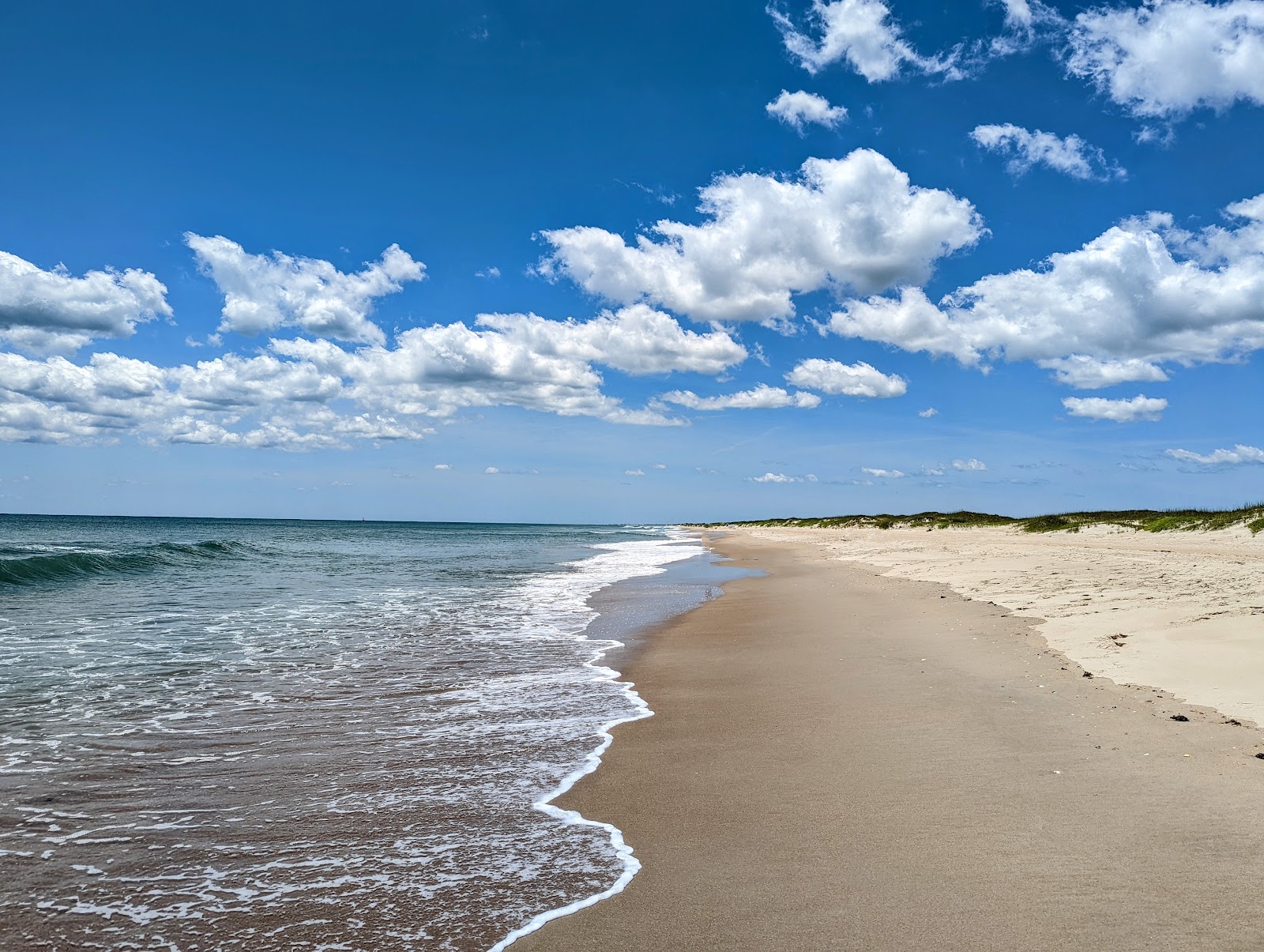 Ocracoke Campground - Cape Hatteras National Seashore