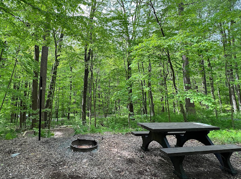 Owens Creek Campground