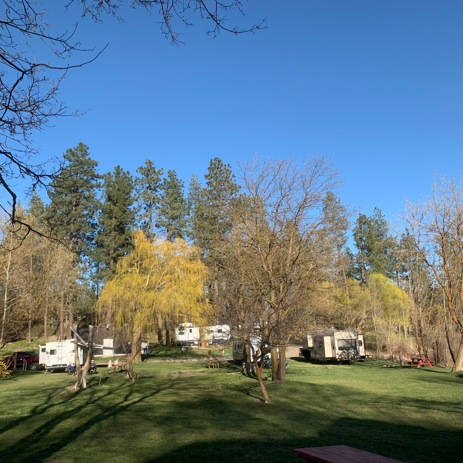 Rubys on Silver Lake