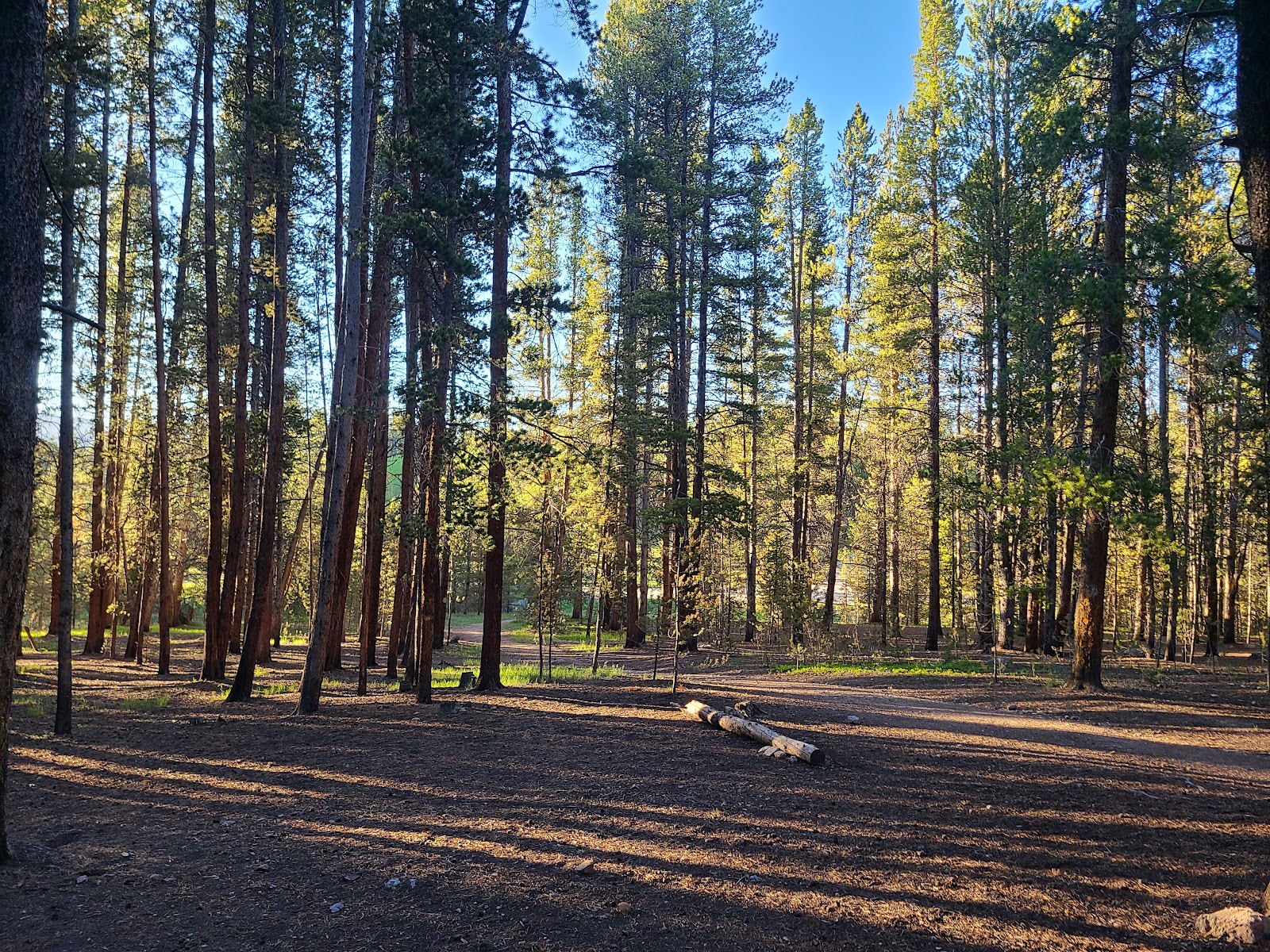 Silver Dollar Campground