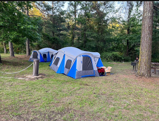 Beard'S Bluff Park (AR)