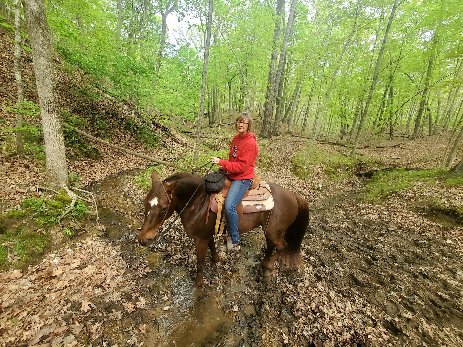 Blake Lowry Campground at Lake Lou Yaeger