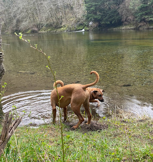 Trail Creek Campground