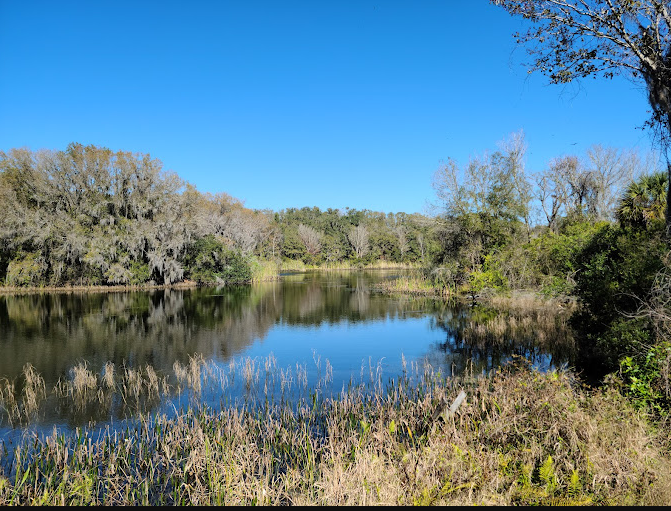 Alafia River State Park