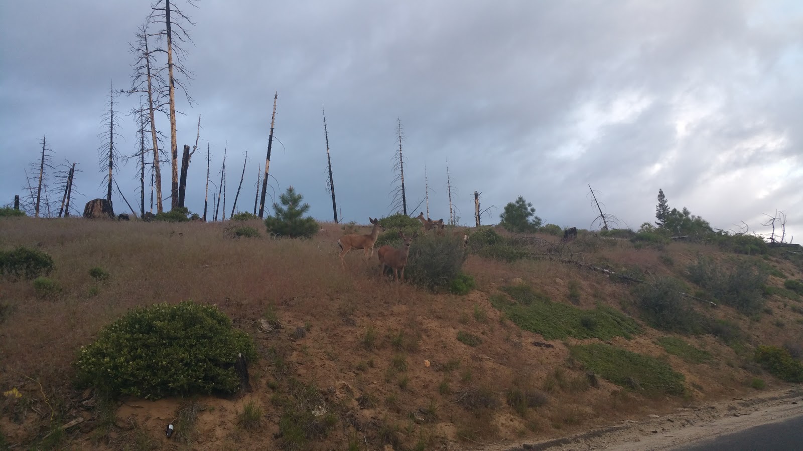 Long Point Campground