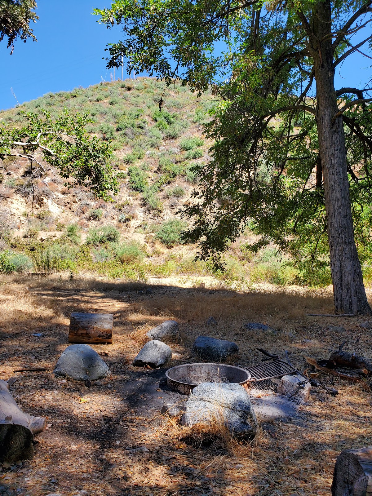 Valley Forge Trail Campground