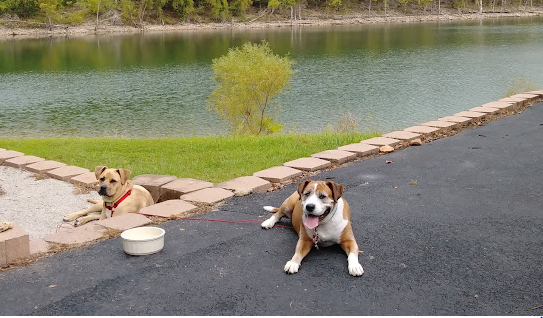 Mill Creek Campground