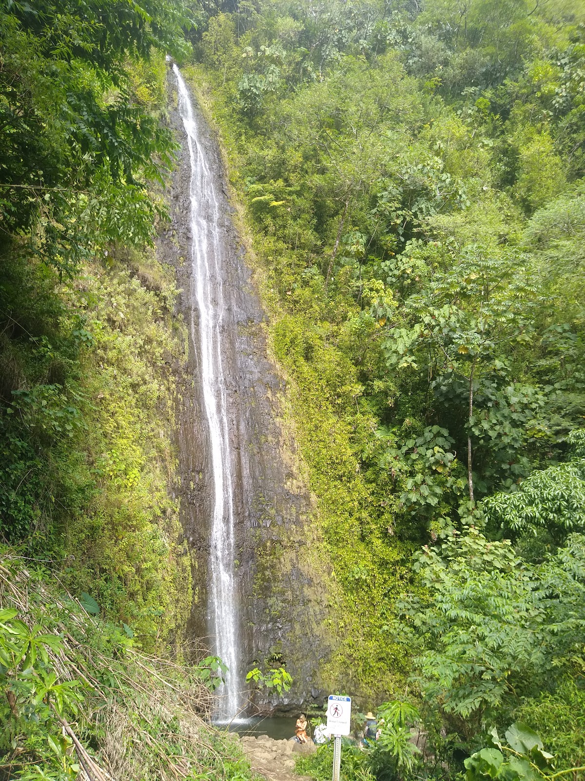 Manoa Valley District Park