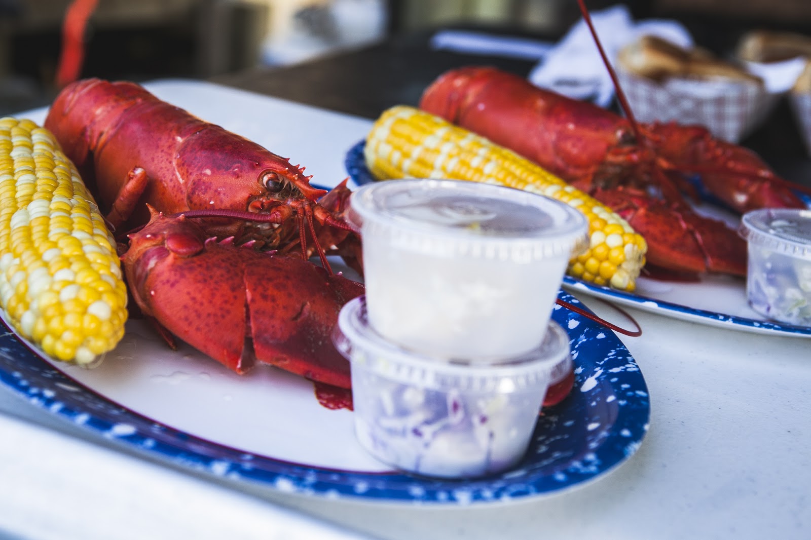 KOA Holiday Bar Harbor Oceanside