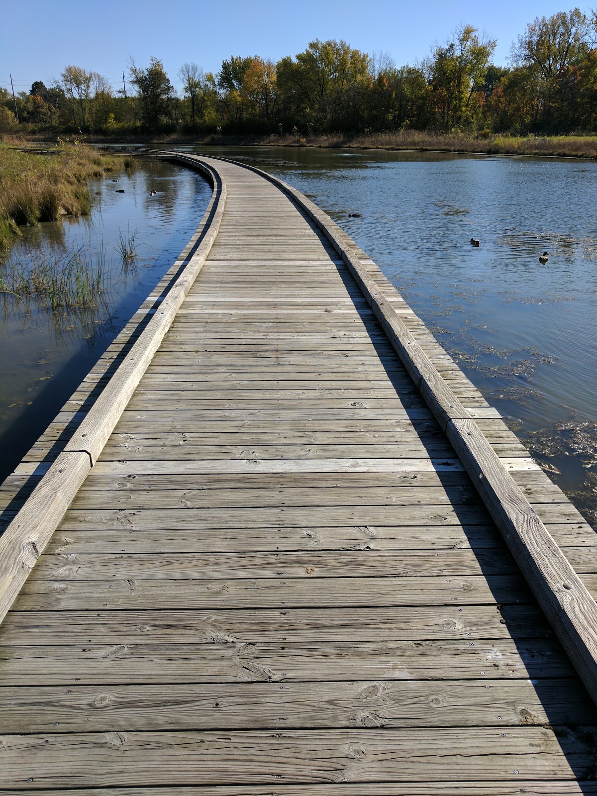 Central Park East Woods