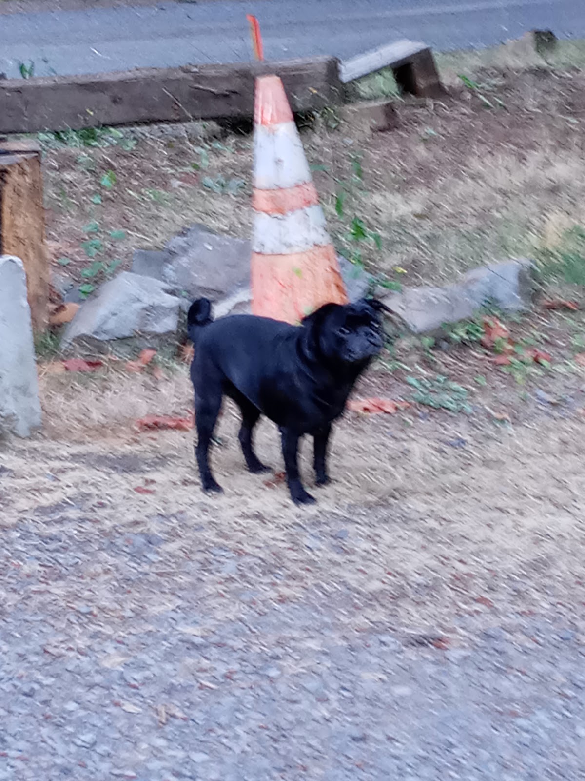 Horsehoe Lake Campground
