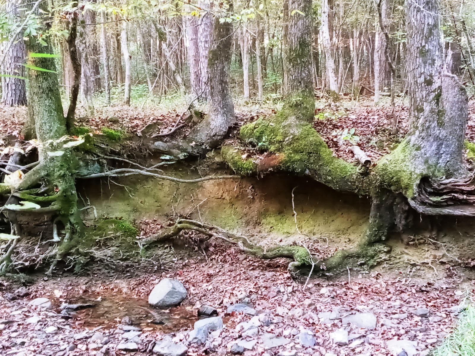 Walk Railroad History Hiking Trail