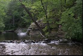 Mcnabb Creek Group Camping