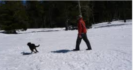 Yuba Pass Campground