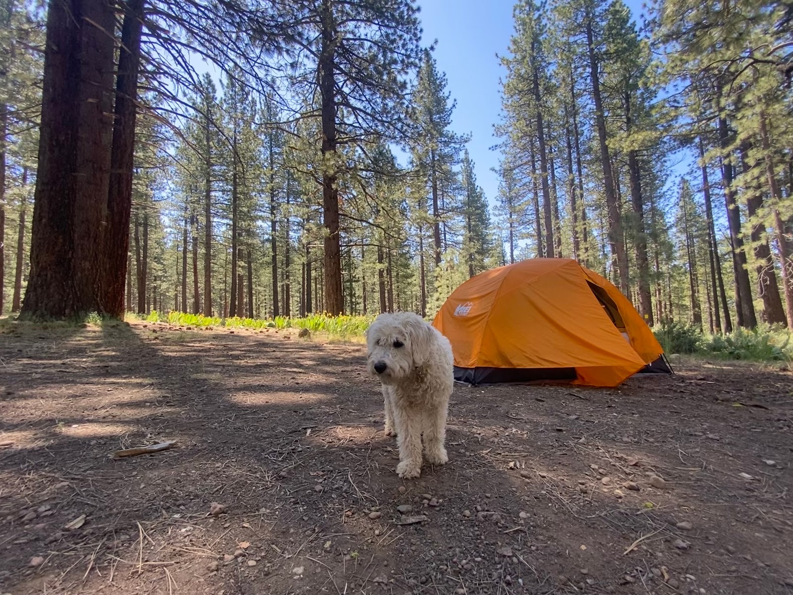 Boca Springs Campground