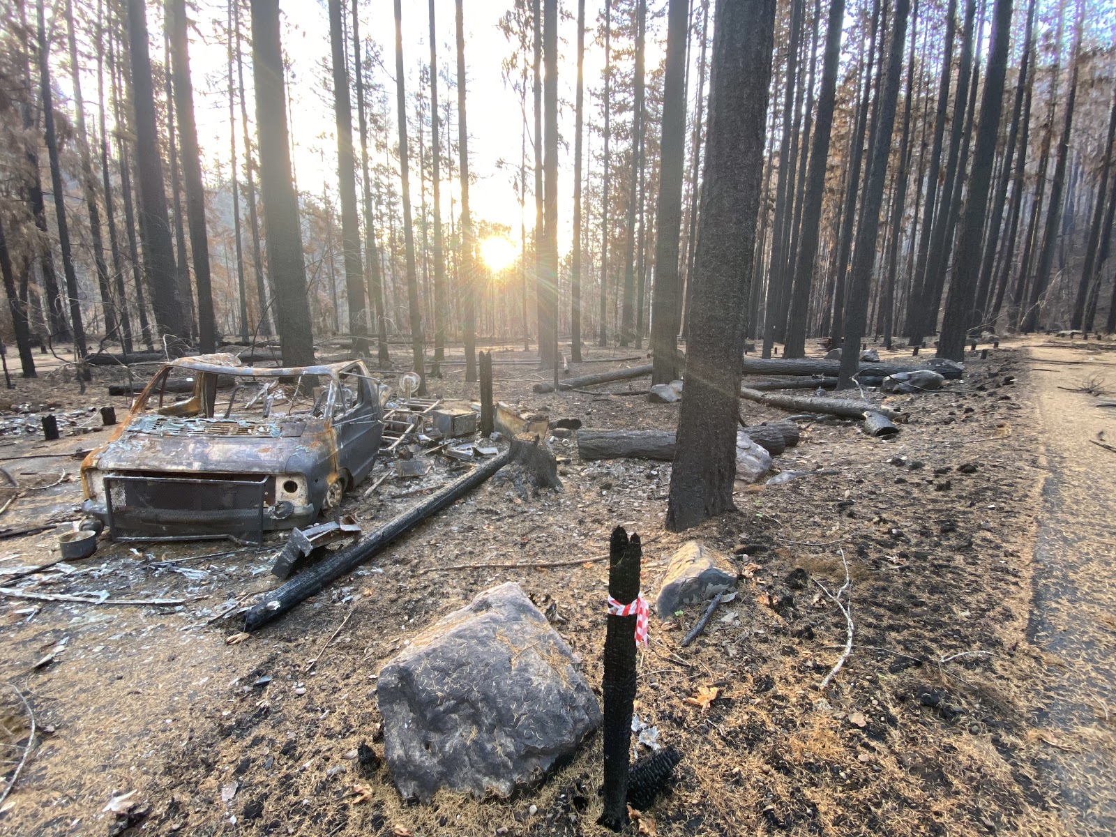 Bogus Creek Campground