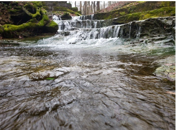 Muscatatuck County Park