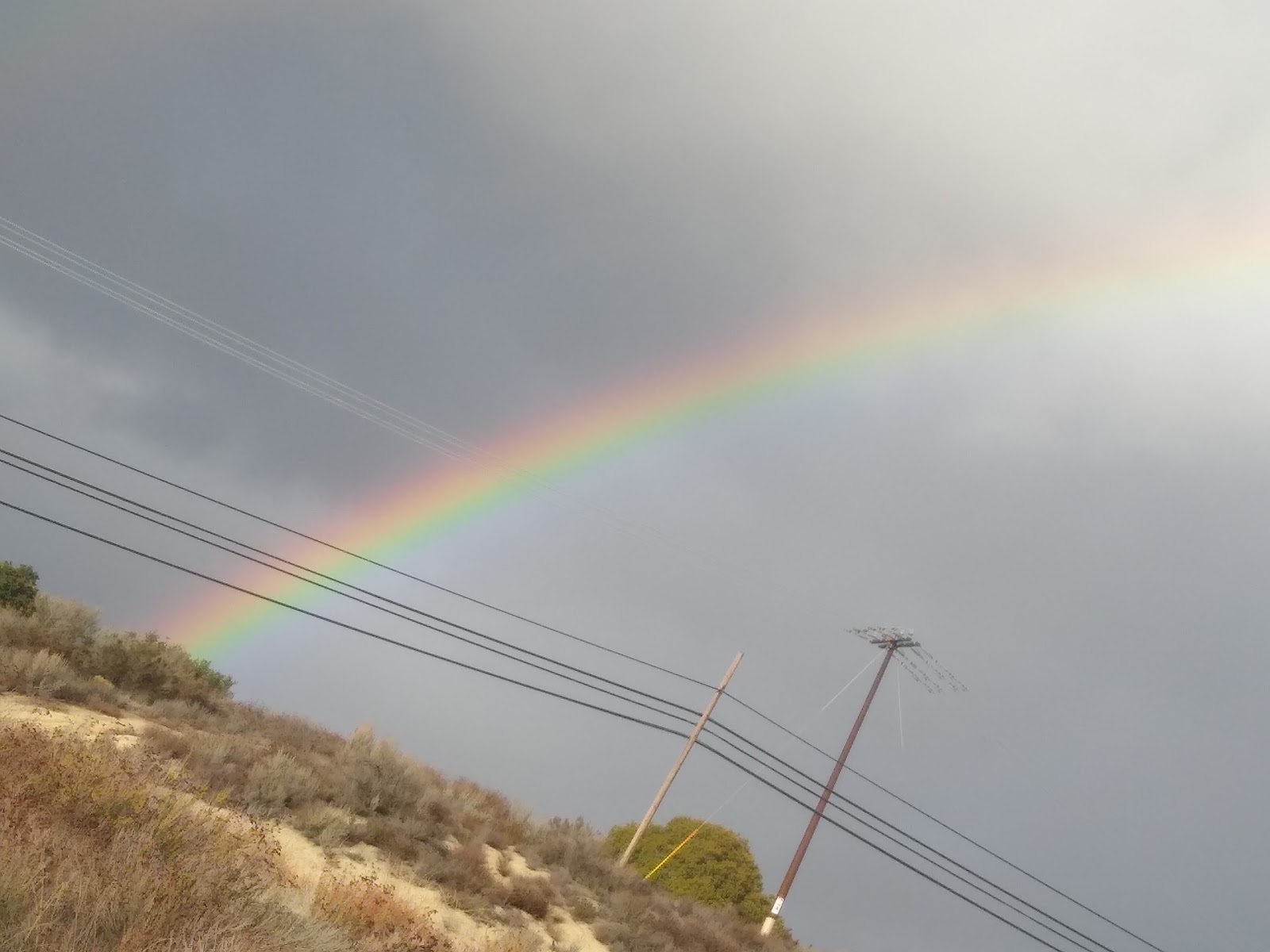 Live Oak Springs Resort