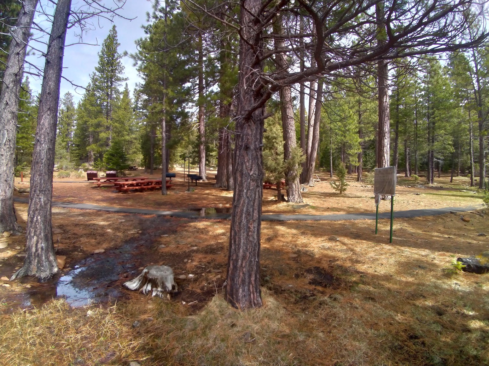 Juanita Lake Group Campsite