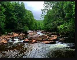 Tea Creek Campground