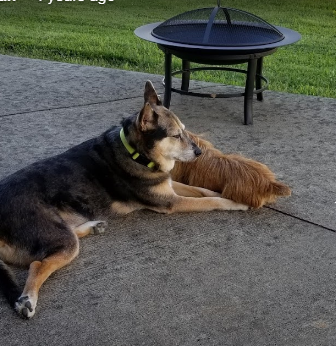 Rivers Edge Mountain RV Resort